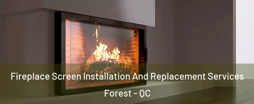 Fireplace Screen Installation And Replacement Services Forest - QC