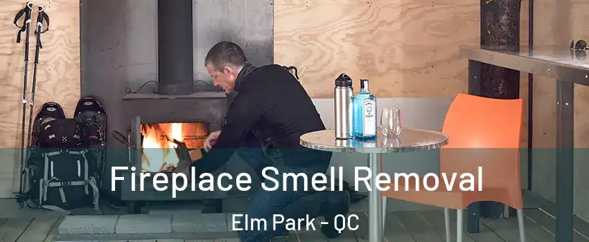Fireplace Smell Removal Elm Park - QC