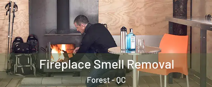  Fireplace Smell Removal Forest - QC