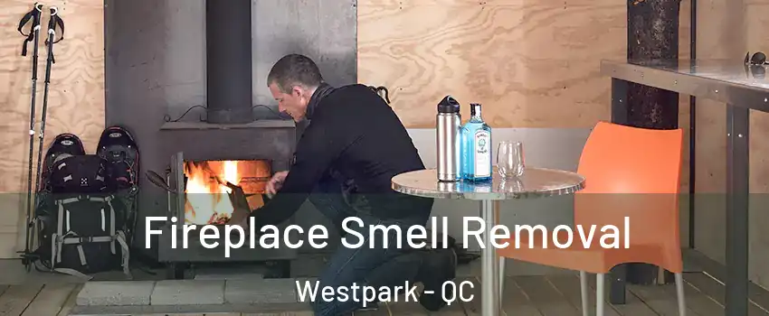 Fireplace Smell Removal Westpark - QC
