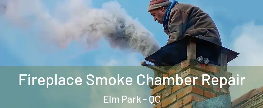 Fireplace Smoke Chamber Repair Elm Park - QC