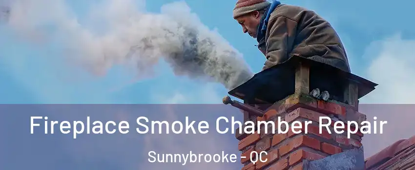  Fireplace Smoke Chamber Repair Sunnybrooke - QC