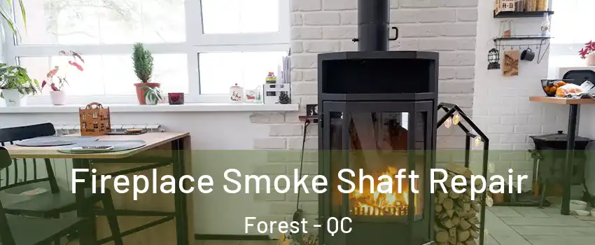  Fireplace Smoke Shaft Repair Forest - QC