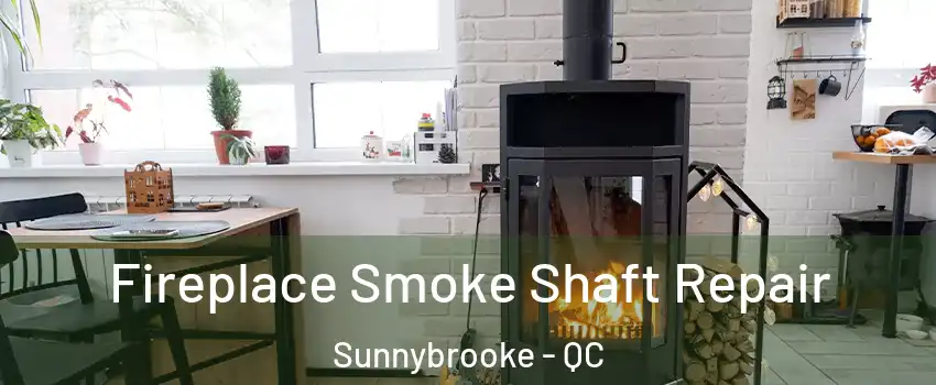  Fireplace Smoke Shaft Repair Sunnybrooke - QC