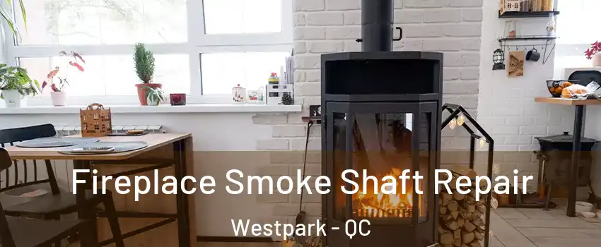 Fireplace Smoke Shaft Repair Westpark - QC