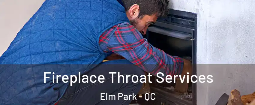  Fireplace Throat Services Elm Park - QC