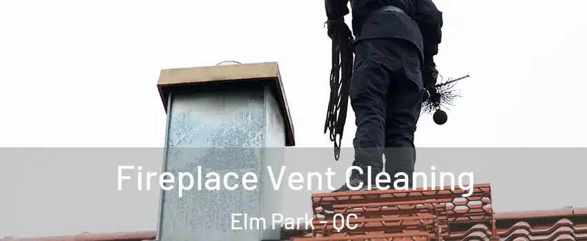  Fireplace Vent Cleaning Elm Park - QC