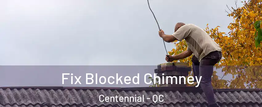  Fix Blocked Chimney Centennial - QC