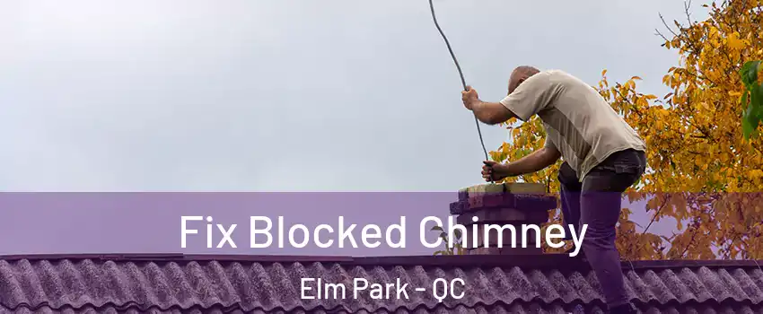  Fix Blocked Chimney Elm Park - QC