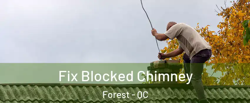  Fix Blocked Chimney Forest - QC