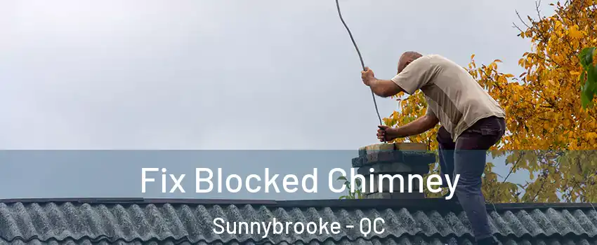  Fix Blocked Chimney Sunnybrooke - QC