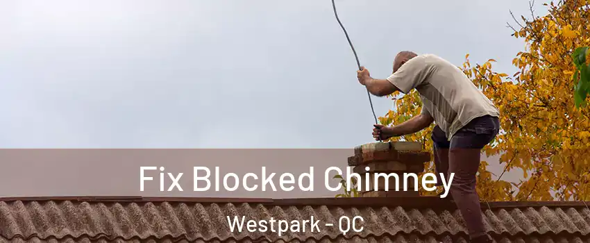  Fix Blocked Chimney Westpark - QC