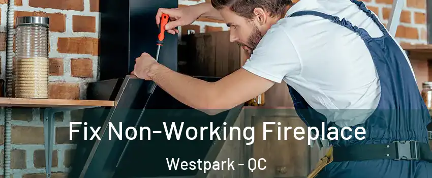  Fix Non-Working Fireplace Westpark - QC