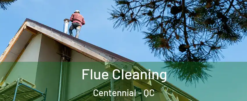 Flue Cleaning Centennial - QC