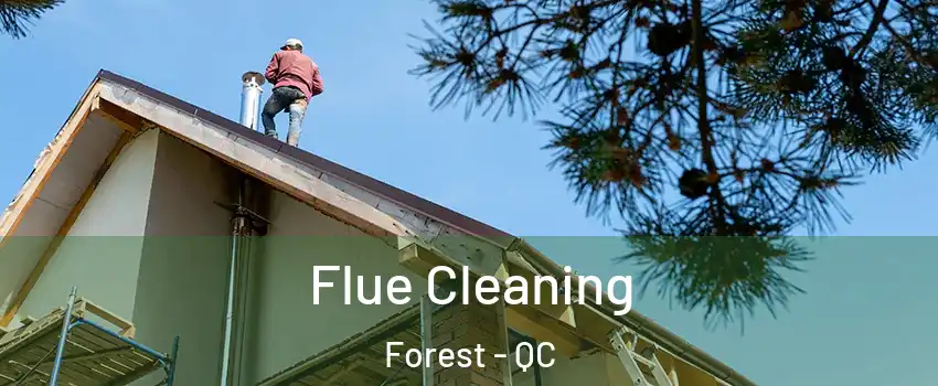Flue Cleaning Forest - QC