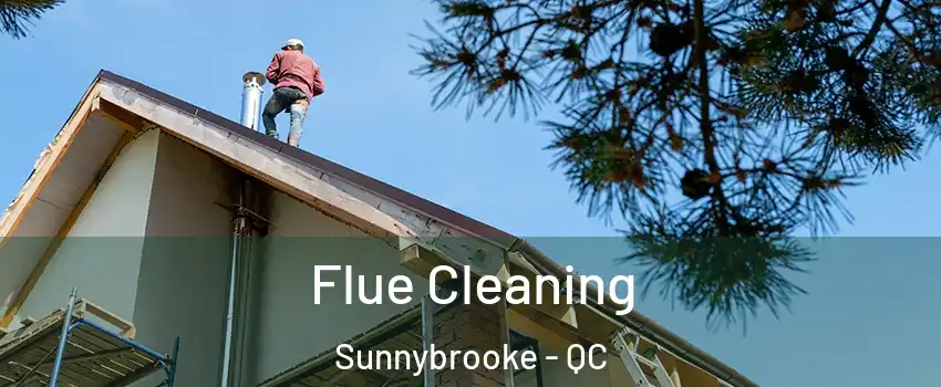  Flue Cleaning Sunnybrooke - QC