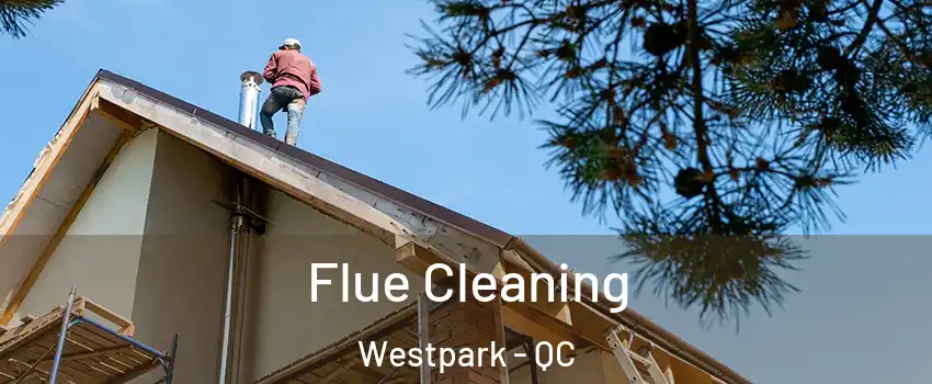  Flue Cleaning Westpark - QC