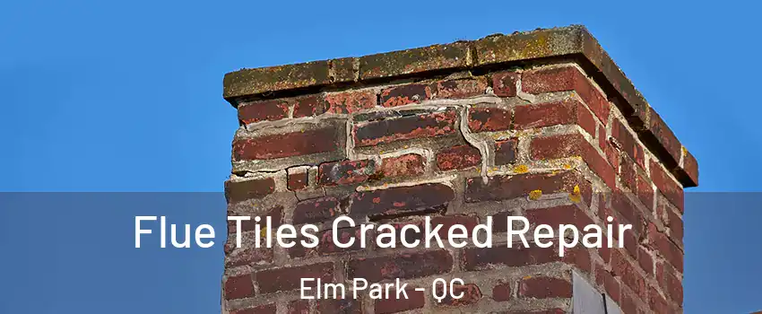 Flue Tiles Cracked Repair Elm Park - QC