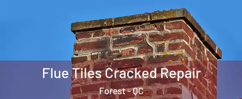  Flue Tiles Cracked Repair Forest - QC