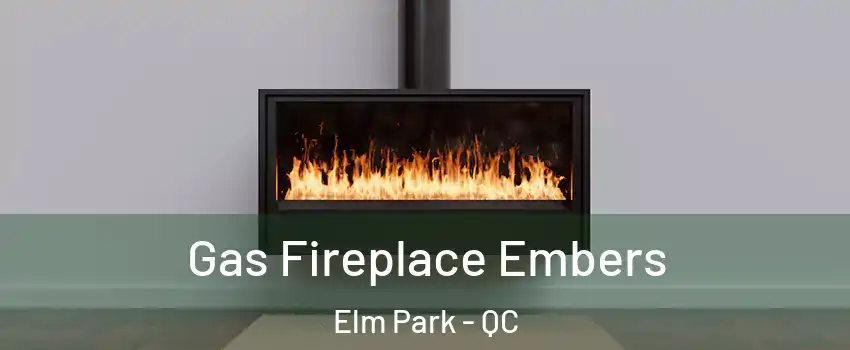  Gas Fireplace Embers Elm Park - QC