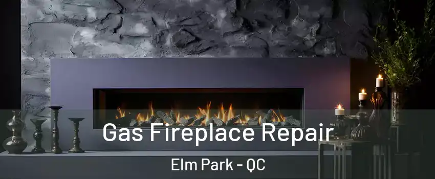  Gas Fireplace Repair Elm Park - QC