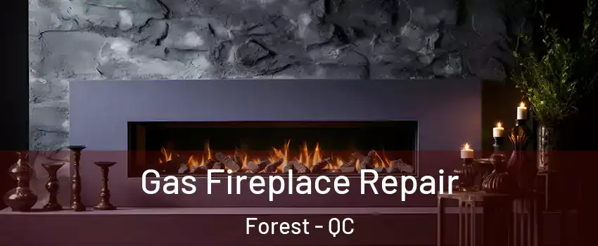  Gas Fireplace Repair Forest - QC