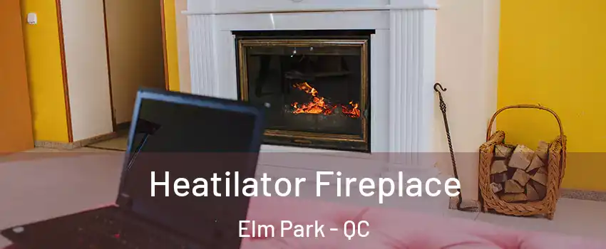  Heatilator Fireplace Elm Park - QC