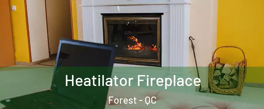 Heatilator Fireplace Forest - QC