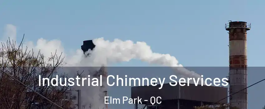  Industrial Chimney Services Elm Park - QC