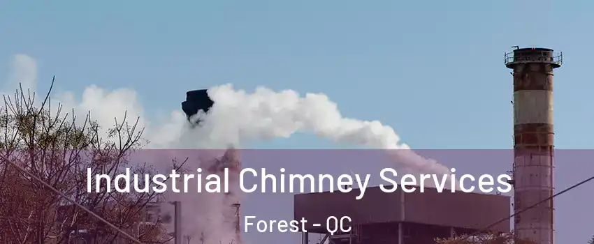 Industrial Chimney Services Forest - QC