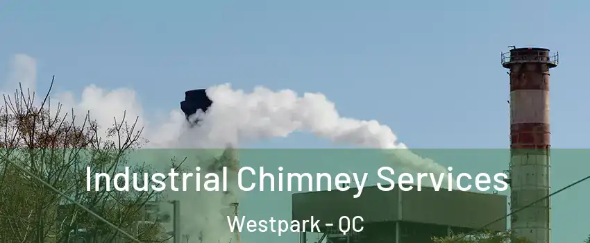  Industrial Chimney Services Westpark - QC