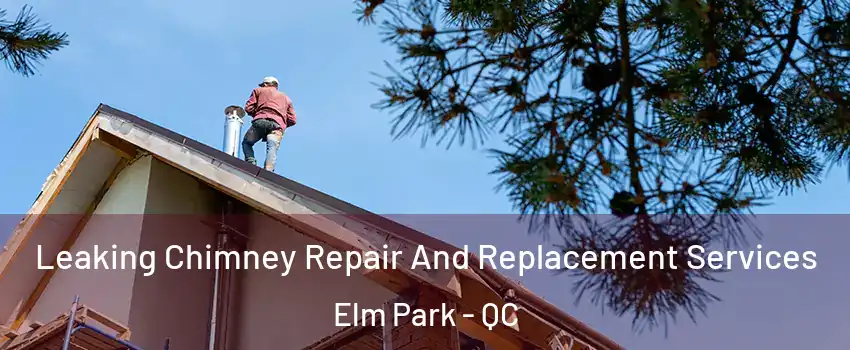  Leaking Chimney Repair And Replacement Services Elm Park - QC