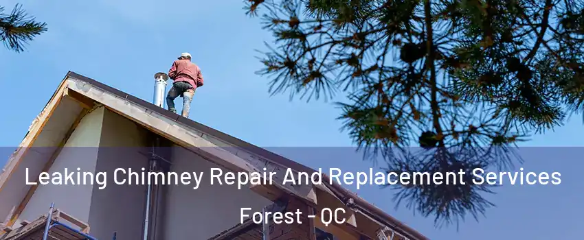  Leaking Chimney Repair And Replacement Services Forest - QC