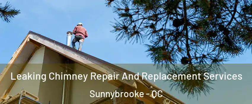  Leaking Chimney Repair And Replacement Services Sunnybrooke - QC