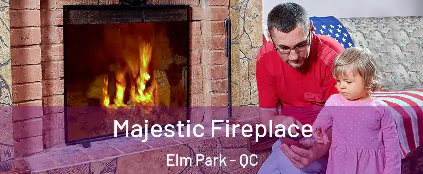  Majestic Fireplace Elm Park - QC