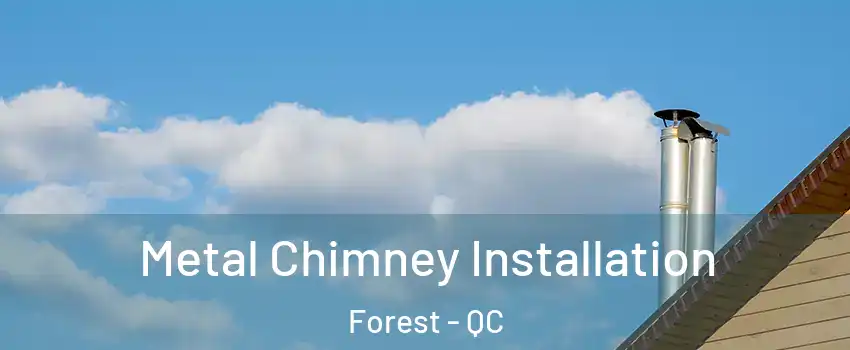 Metal Chimney Installation Forest - QC