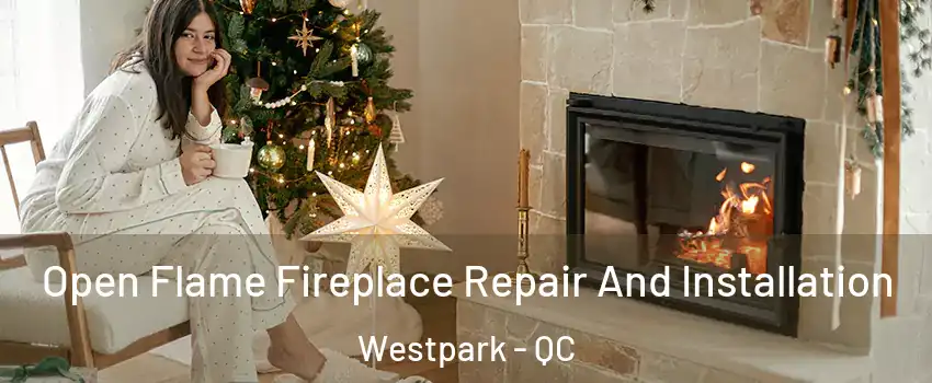  Open Flame Fireplace Repair And Installation Westpark - QC