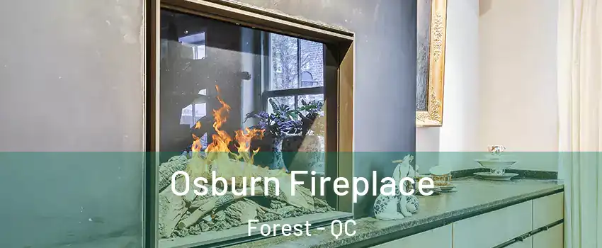  Osburn Fireplace Forest - QC