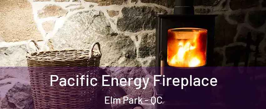 Pacific Energy Fireplace Elm Park - QC
