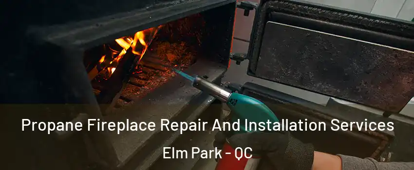 Propane Fireplace Repair And Installation Services Elm Park - QC