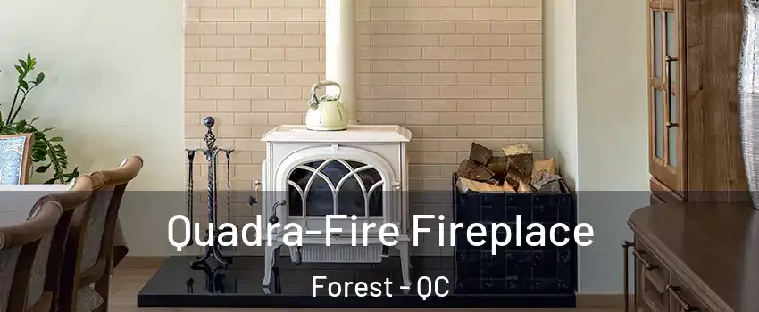  Quadra-Fire Fireplace Forest - QC