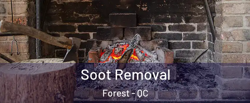 Soot Removal Forest - QC