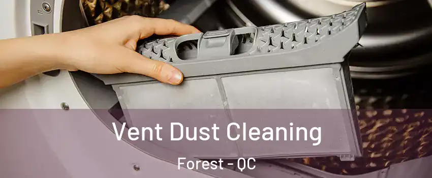  Vent Dust Cleaning Forest - QC