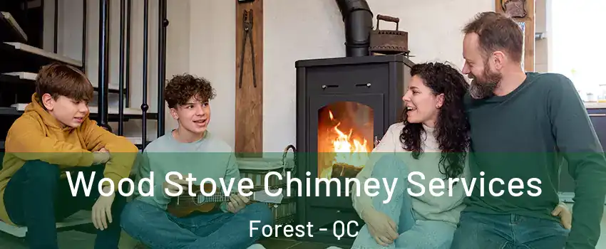  Wood Stove Chimney Services Forest - QC