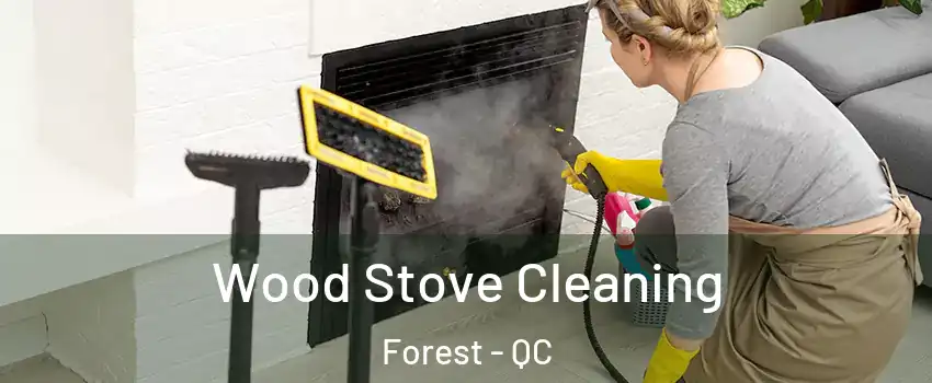  Wood Stove Cleaning Forest - QC
