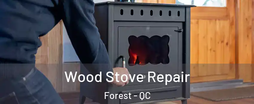  Wood Stove Repair Forest - QC